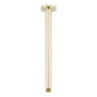 Signature Hardware 12" Round Ceiling-Mount Shower Arm Polished Brass