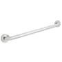 Speakman Neo 48" Grab Bar Polished Chrome