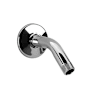 Speakman 5-1/2" Shower Arm and Flange Polished Chrome