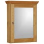 Strasser Simplicity 19" x 27" Framed Single Door Medicine Cabinet Natural Alder