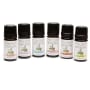 Essential Oil 6 Pack