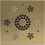 ThermaSol Serenity Square Steam Shower Speaker with LED Lights and Remote Control Satin Brass