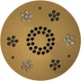 ThermaSol Serenity Round Steam Shower Speaker with LED Lights and Remote Control Antique Brass