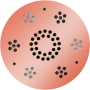 ThermaSol Serenity Round Steam Shower Speaker with LED Lights and Remote Control Copper