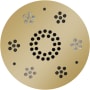ThermaSol Serenity Round Steam Shower Speaker with LED Lights and Remote Control Polished Brass