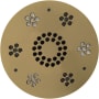 ThermaSol Serenity Round Steam Shower Speaker with LED Lights and Remote Control Satin Brass