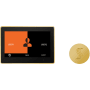ThermaSol ThermaTouch Steam Shower Kit - Includes 10" Control Panel and Round Steam Head Polished Gold