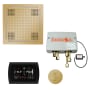 ThermaSol Hydrovive Steam Shower Kit - Includes 5" Flush Mount Control Panel, Digital Shower Valve, Round Steam Head, 18" Square Light and Sound Shower Head Polished Brass