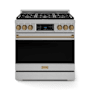 Thor Kitchen Gordon Ramsay 6 Cu. Ft. Free Standing Gas Range with Continuous Cooking Grates Stainless Steel / Bronze