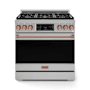 Thor Kitchen Gordon Ramsay 6 Cu. Ft. Free Standing Gas Range with Continuous Cooking Grates Stainless Steel / Rose Gold