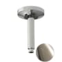 TOTO Ceiling Mount 6" Shower Arm Brushed Nickel