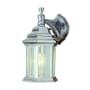 Trans Globe Lighting Templar 1 Light Lantern Outdoor Wall Sconce Brushed Nickel