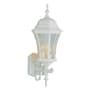 Trans Globe Lighting Three Light Up Lighting Outdoor Wall Sconce from the Outdoor Collection White