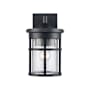 Trans Globe Lighting Crackled 1 Light Outdoor Lantern Wall Sconce Black