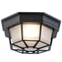 Trans Globe Lighting Single Light Down Lighting Flush Mount Ceiling Fixture from the Outdoor Collection Black