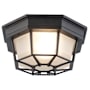Trans Globe Lighting Single Light Down Lighting Flush Mount Ceiling Fixture from the Outdoor Collection Rust