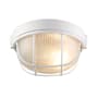 Trans Globe Lighting Single Light Medium Round Outdoor Bulk Head from the Outdoor Collection White