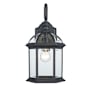 Trans Globe Lighting Wentworth Single Light 15-3/4" Tall Outdoor Wall Sconce Black