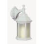 Trans Globe Lighting Templar 1 Light Lantern Outdoor Wall Sconce White