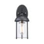Trans Globe Lighting Blues Single Light 13-1/2" Tall Outdoor Wall Sconce Black / Brushed Nickel