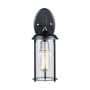 Trans Globe Lighting Blues Single Light 15-1/2" Tall Outdoor Wall Sconce Black / Brushed Nickel