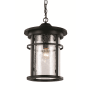 Trans Globe Lighting Crackled 1 Light Outdoor Lantern Pendant Black
