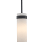 Trans Globe Lighting Crosby 4" Wide Mini Pendant Black