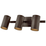 Troy Lighting Rueben 3 Light 19" Wide Vanity Light Bronze