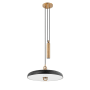 Troy Lighting Plummet 18" Wide Pendant Patina Brass / Soft Black