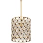 Varaluz Windsor 12" Wide Crystal Pendant French Gold