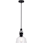 Vaxcel Lighting Beloit 9" Wide Mini Pendant Matte Black