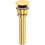 Polished Brass