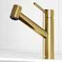 Vigo Branson 1.8 GPM 9" H Single Handle Single Hole Pull Out Kitchen Faucet Matte Brushed Gold