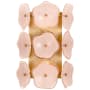 Visual Comfort Leighton 12" Small Sconce by kate spade NEW YORK Soft Brass / Blush Tinted Glass