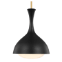 Visual Comfort Lucerne 9" Wide Mini Pendant Burnished Brass / Midnight Black