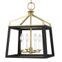 Visual Comfort Carlow 4 Light 14" Wide Taper Candle Pendant Midnight Black / Burnished Brass