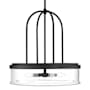 Visual Comfort Anders 4 Light 20" Wide Pendant with Clear Glass Shade Midnight Black