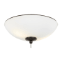 Visual Comfort 12" Wide2 Light LED Ceiling Fan Lighting Kit Oil Rubbed Bronze