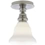 Polished Nickel