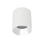 WAC Lighting Zoron 4" Wide 5-CCT LED Round Trimless Flush Mount Outdoor Ceiling Fixture - Narrow 25° Beam Spread White / Haze