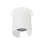 WAC Lighting Zoron 4" Wide 5-CCT LED Round Flush Mount Outdoor Ceiling Fixture - Narrow 25° Beam Spread White / Haze