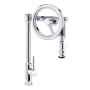 Waterstone Endeavor 1.75 GPM Single Hole Pull Down Kitchen Faucet with Lever Handle Chrome