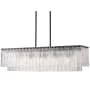 Z-Lite Glacier 5 Light 43" Wide Linear Chandelier Matte Black