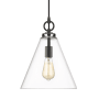 Z-Lite Harper Single Light 12" Wide Pendant Matte Black