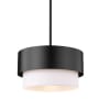 Z-Lite Counterpoint 12" Wide Pendant Matte Black