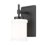 Z-Lite Cadoc 9" Tall Bathroom Sconce Matte Black