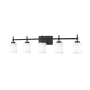 Z-Lite Cadoc 5 Light 41" Wide Vanity Light Matte Black