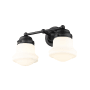 Z-Lite Vaughn 2 Light 16" Wide Vanity Light Matte Black