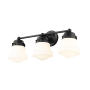 Z-Lite Vaughn 3 Light 23" Wide Vanity Light Matte Black