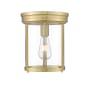 Z-Lite Thayer 10" Wide Flush Mount Ceiling Fixture Luxe Gold